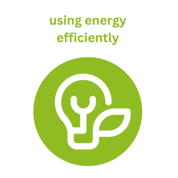 Icon Energy
