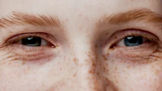 Entry-level job opportunities