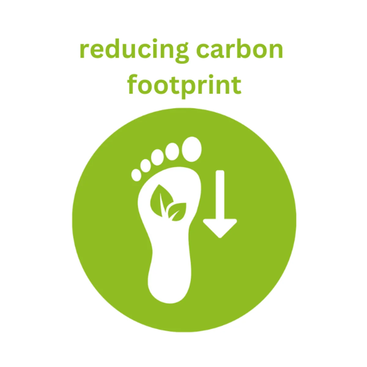 Icon Carbon Footprint