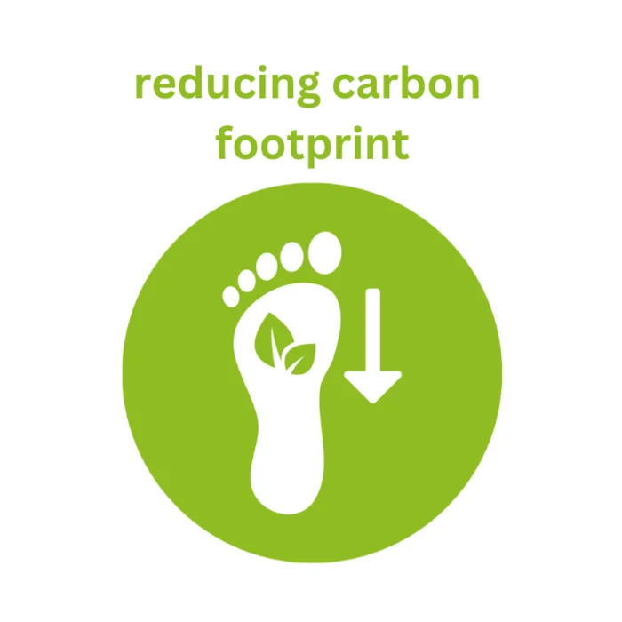 Icon Carbon Footprint