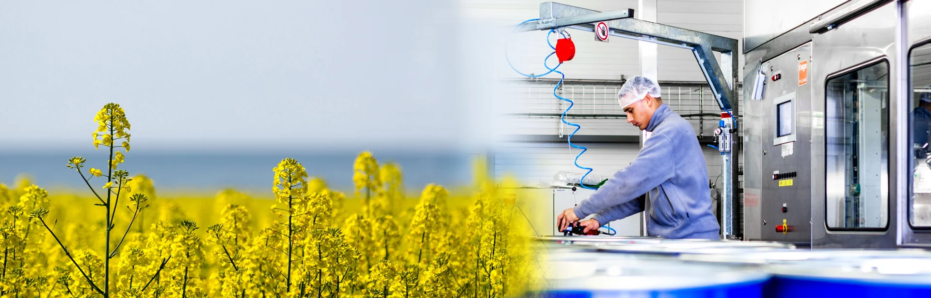 Nahrungsmittel Lebensmittel